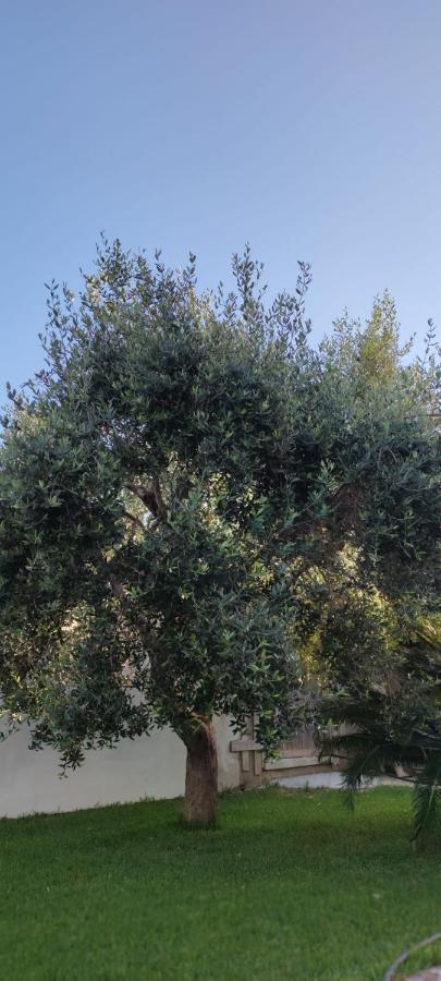 La Bella Dimora Bed and Breakfast Otranto Buitenkant foto